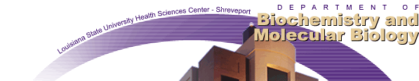 Department of Biochemistry and Molecular Biology